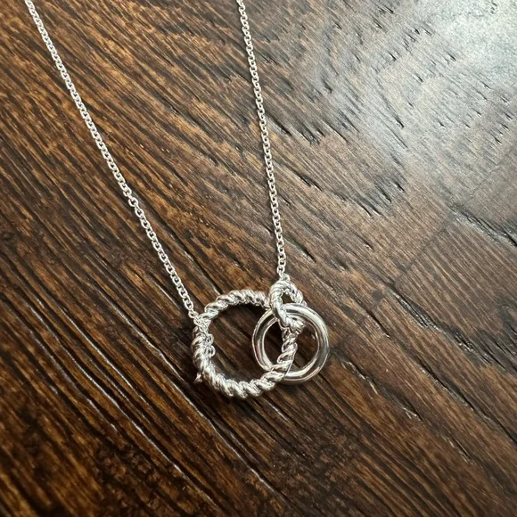 NEW IN BOX Elegant Silver Interlocking Circles Necklace - Picture 3 of 15